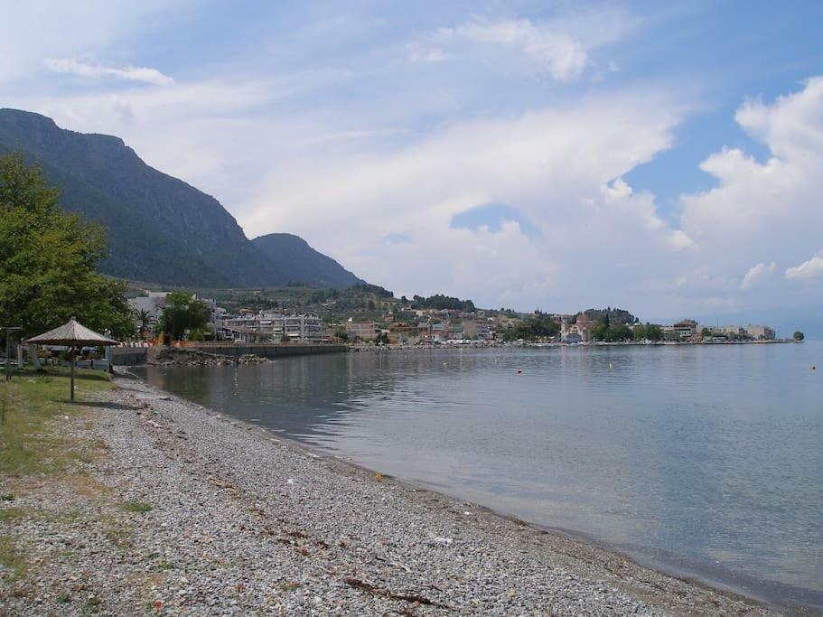 Anastasia - Efthimios Apartments Agios Konstantinos  Bagian luar foto