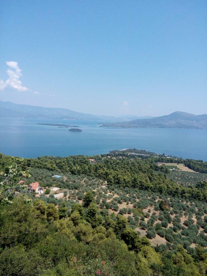 Anastasia - Efthimios Apartments Agios Konstantinos  Bagian luar foto